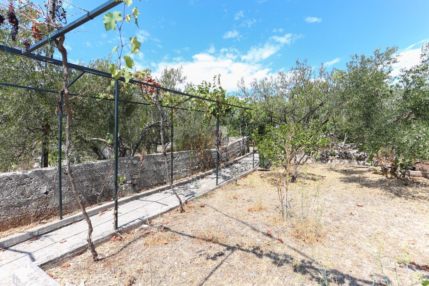 Holiday Home Marcelo-With Terrace Vinišće エクステリア 写真